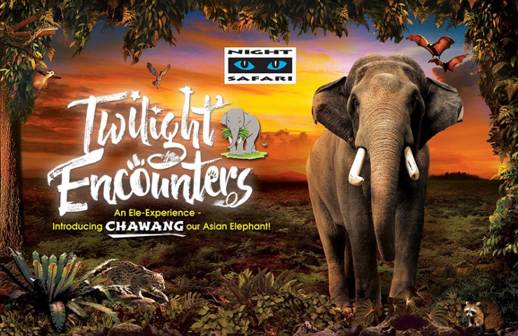 Night Safari - Twilight Encounters